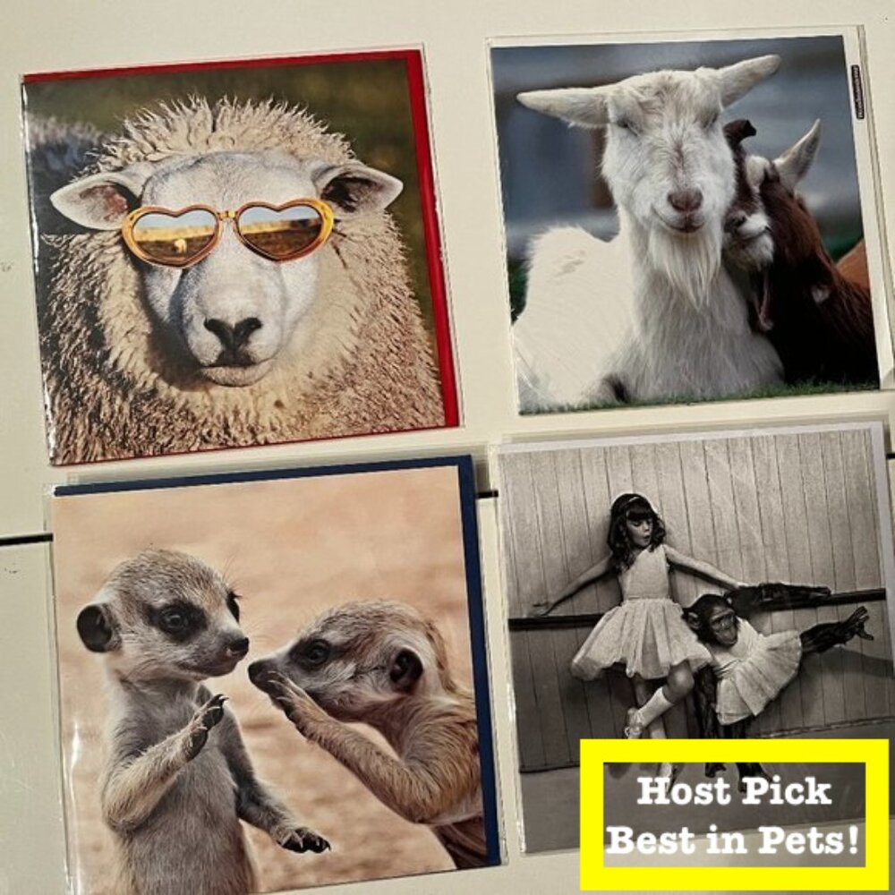 Animal-Themed‎  Square Blank Greeting Cards (6 1/2" X 6 1/2") (new) (pets)